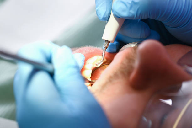 Best Emergency Orthodontic Repairs in South Creek, WA
